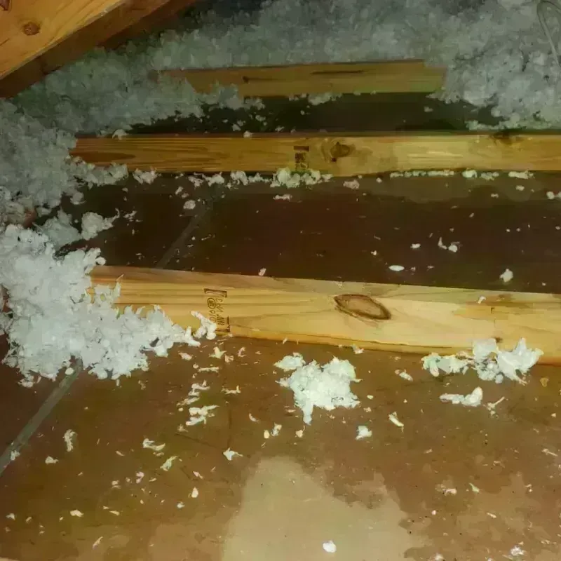 Attic Water Damage in Lakeland Village, CA